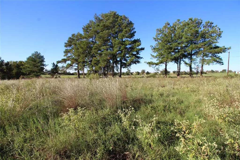 Tennessee Colony, TX 75861,TBD Lot 10 and 11 Fm 645