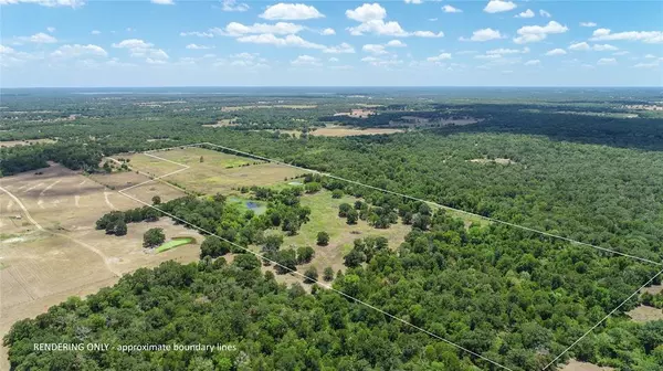 Somerville, TX 77879,TBD County Road 132 - 65 acres