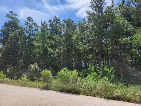 Plantersville, TX 77363,Lot 5 Tawnyberry LN