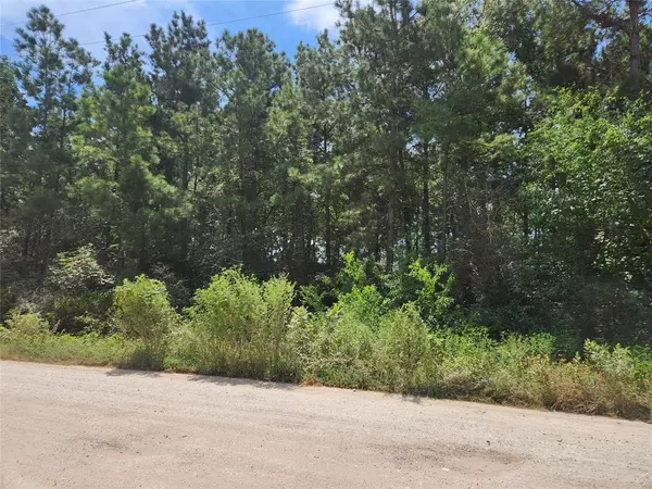 Plantersville, TX 77363,Lot 5 Tawnyberry LN