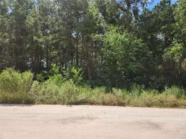 Lot 5 Tawnyberry LN, Plantersville, TX 77363