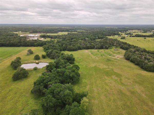 469 Friendship Cemetery RD, Paige, TX 78659