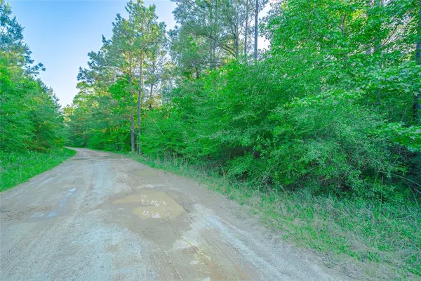 Chester, TX 75936,0 Timber Road 23