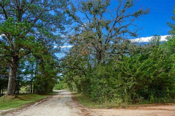 TBD County Rd 212, Anderson, TX 77830