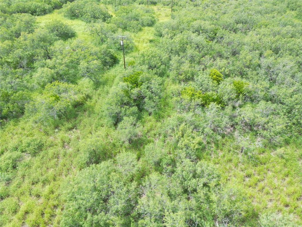 Falfurrias, TX 78355,000 County Road 230a