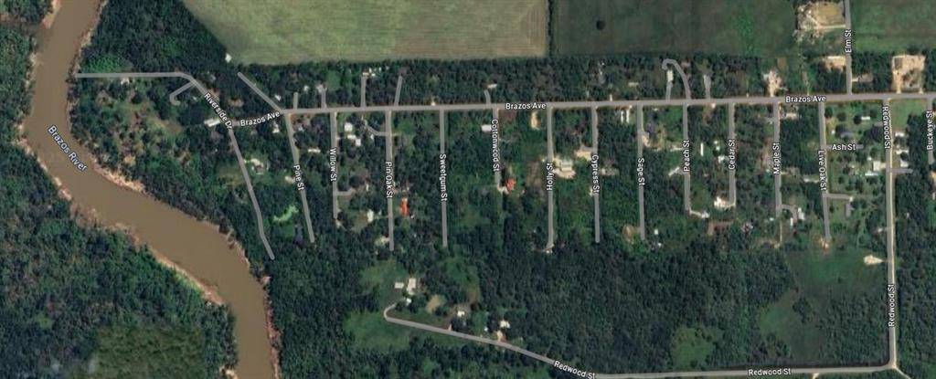 Rosharon, TX 77583,0 Sage ST
