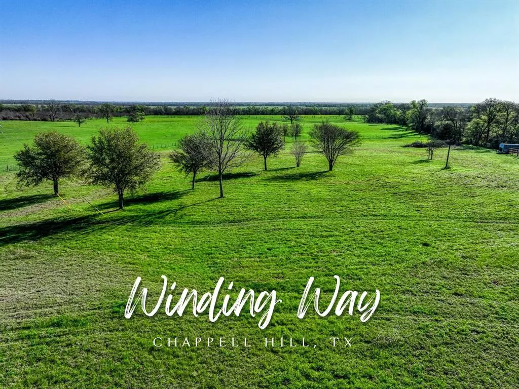 Chappell Hill, TX 77426,TBD Winding Way LN