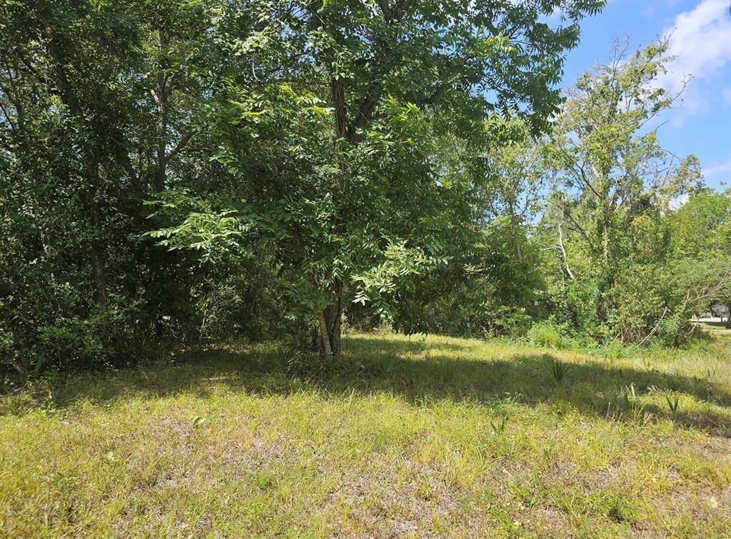 West Columbia, TX 77486,TBD County Road 825