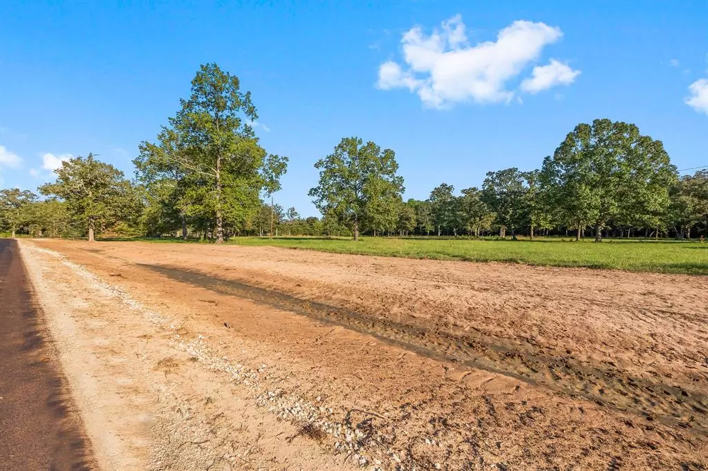 New Waverly, TX 77358,Lot 18 Alans Memorial Lane