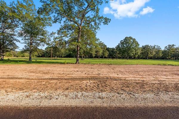 New Waverly, TX 77358,Lot 18 Alans Memorial Lane