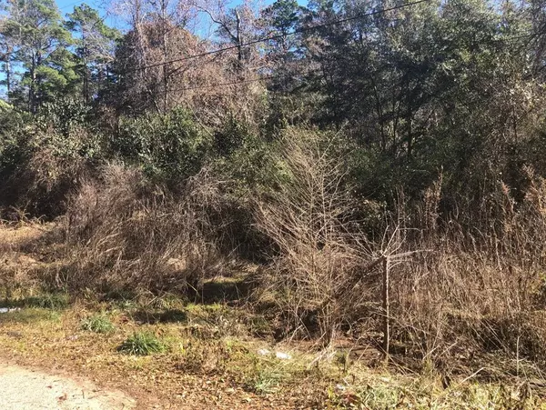 Coldspring, TX 77331,Lot 10 Davey LN