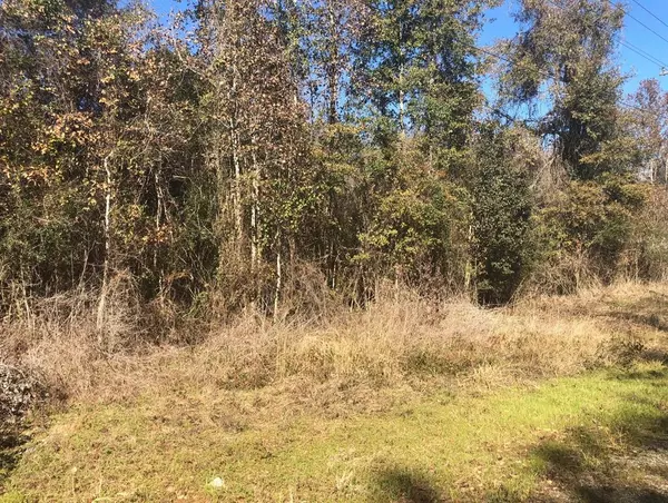 Coldspring, TX 77331,Lot 10 Davey LN