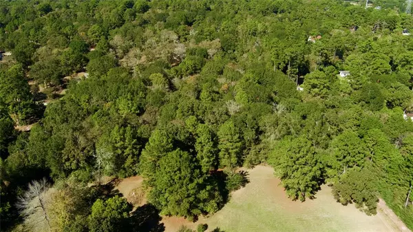 Hockley, TX 77447,Lot 4 Tepee TRL