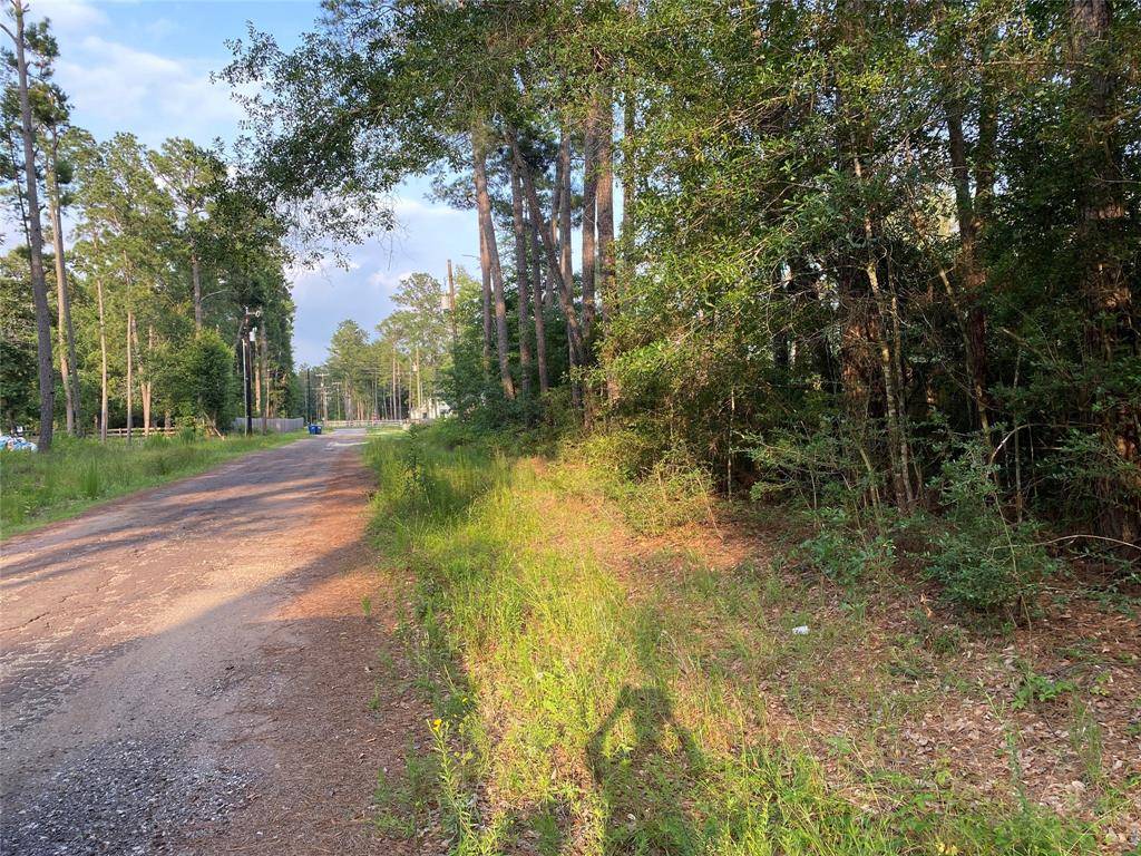 Plantersville, TX 77363,TBD Greenway DR