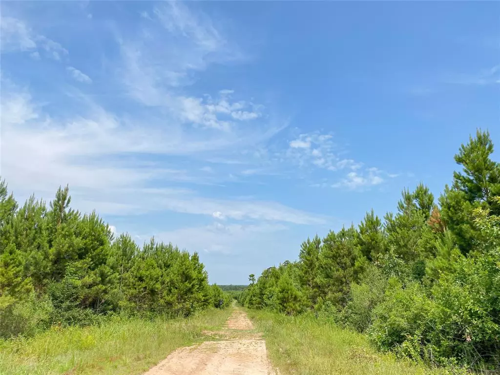 Leggett, TX 77350,0000000 Red Hollow Rd