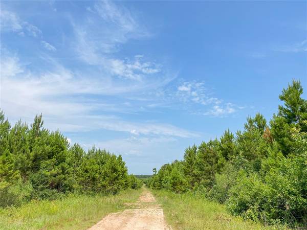 0000000 Red Hollow Rd, Leggett, TX 77350