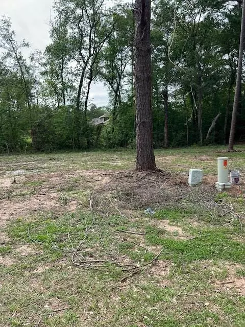 Conroe, TX 77304,Lot 33 La Salle Park