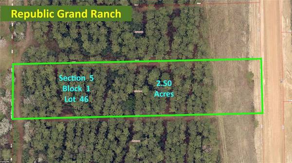 15595 Forest Grove DR, Willis, TX 77378