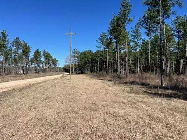 Livingston, TX 77351,TBD 10 Red Lowe