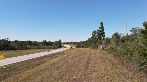 Navasota, TX 77868,Tract #1 SH 249