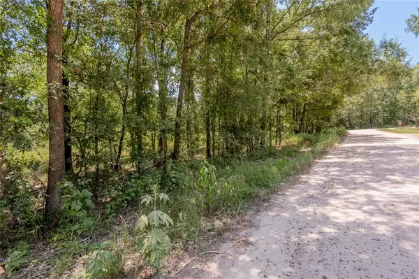 Livingston, TX 77351,Lot 142 Star Dust DR