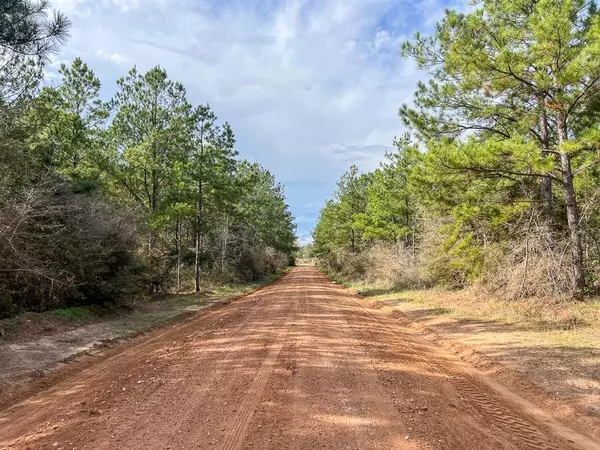 Livingston, TX 77351,2 Timber Rd