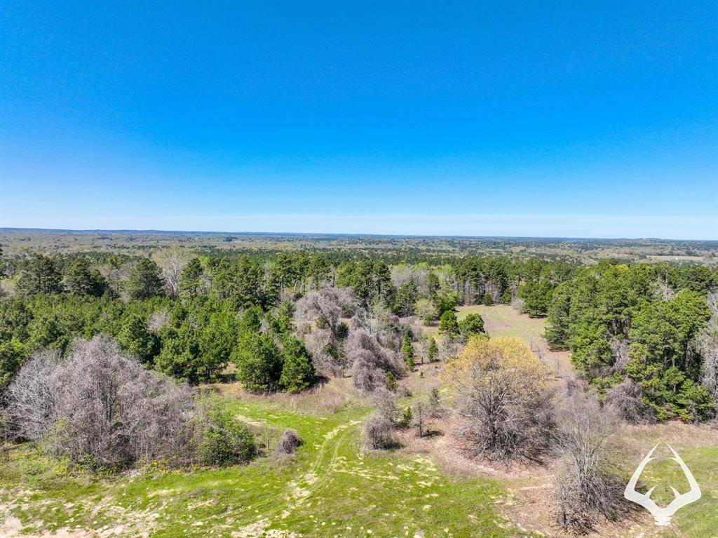 Palestine, TX 75801,TBD Fm 323