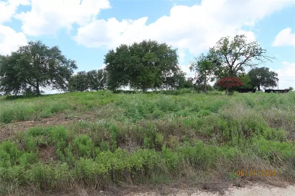 Chappell Hill, TX 77426,Lot 5 Sunflower