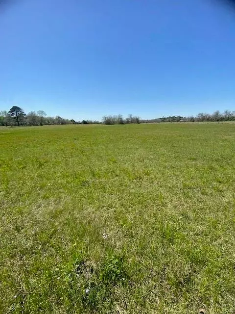 Crosby, TX 77532,TBD Ramsey RD