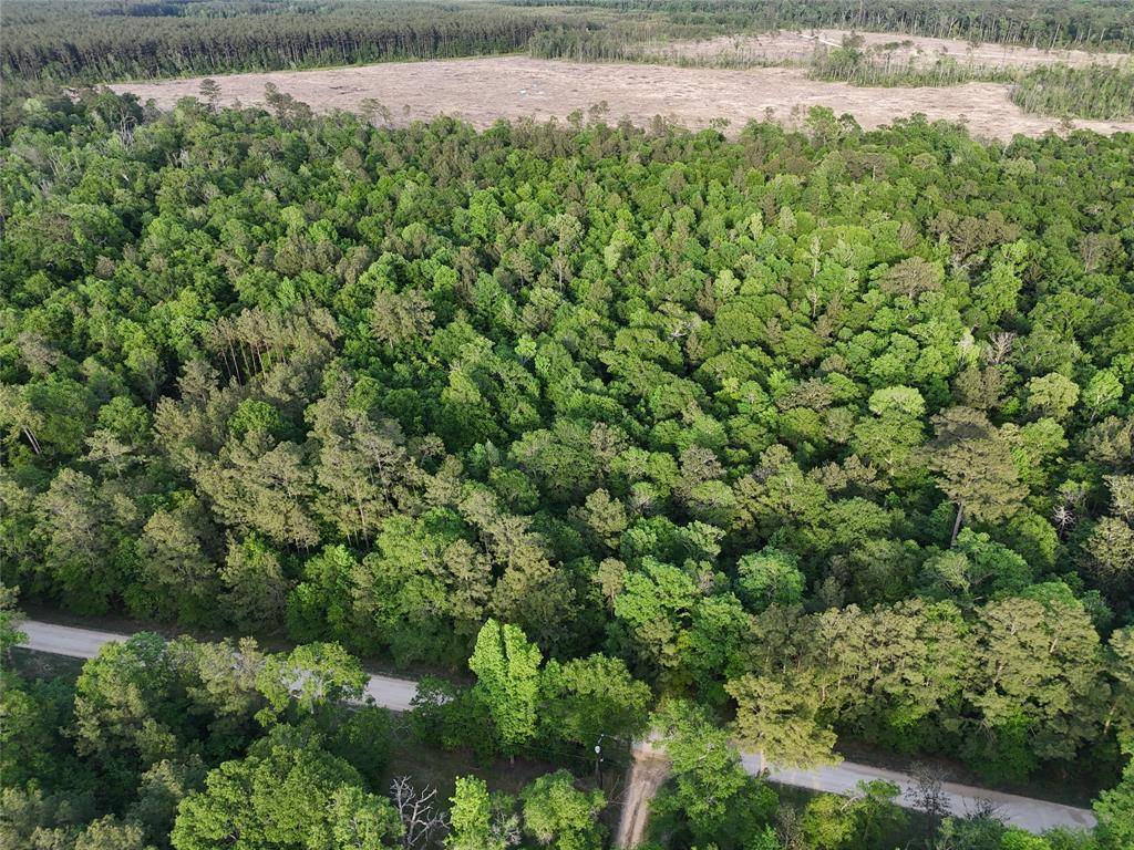 000 Outlaw Bend  Road, Rye, TX 77369