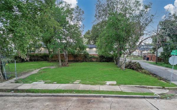 3350 Holman ST, Houston, TX 77004