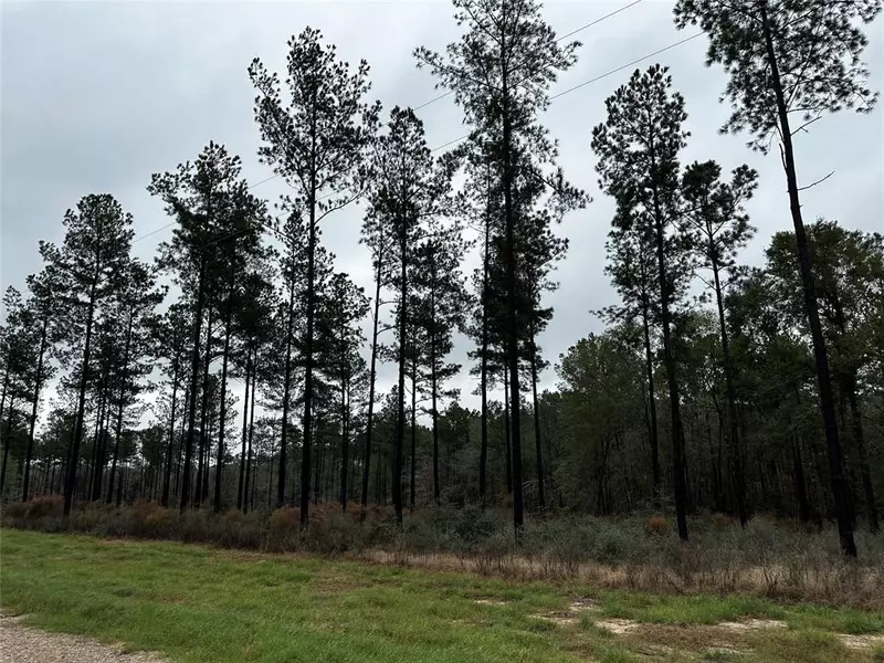 TBD Lot 36 Rolling Pines DR, Livingston, TX 77351