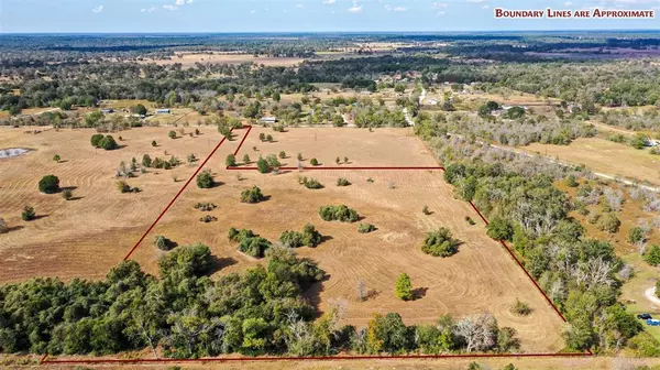 Bedias, TX 77831,Lot 13 County Rd 229