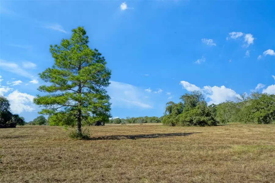 Lot 12 County Rd 229, Bedias, TX 77831