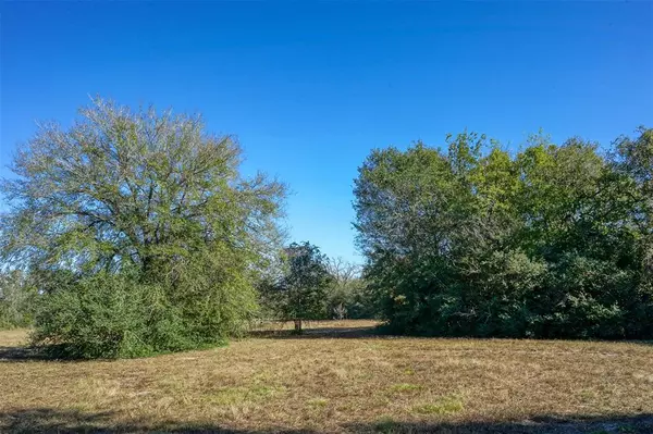 Bedias, TX 77831,Lot 12 County Rd 229