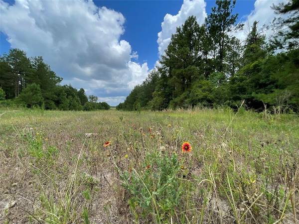 2853 Kickapoo RD, Groveton, TX 75845