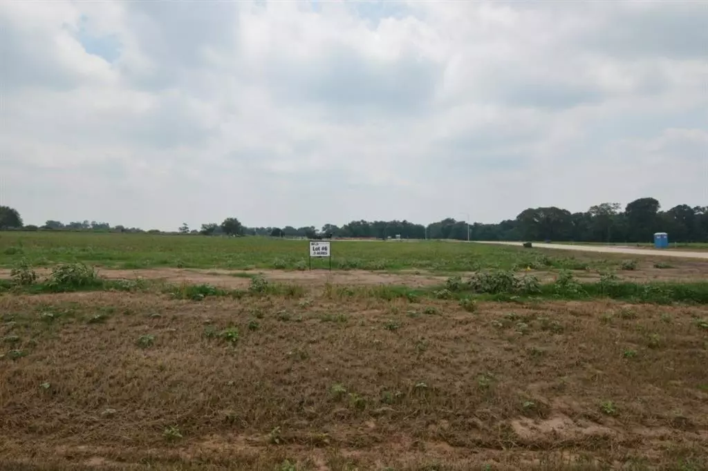 Smithville, TX 78957,Lot 6 Hydrangea DR