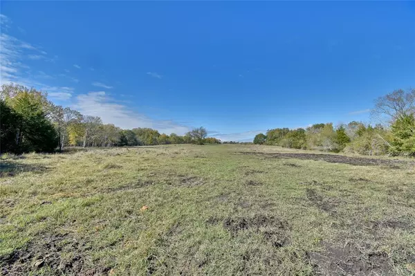 Chappell Hill, TX 77426,2088 Sempronius RD