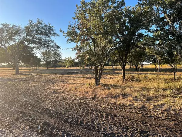 Burnet, TX 78611,TBD Lot 3 County Road 340