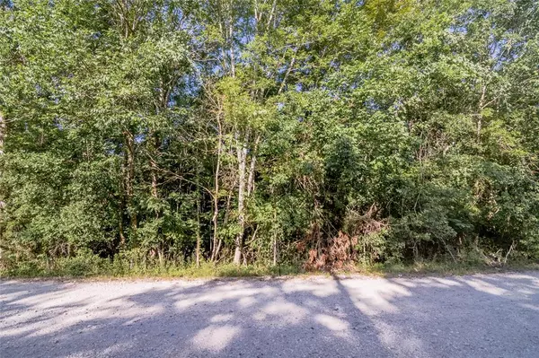 Coldspring, TX 77331,Lot 45 Lakeside DR