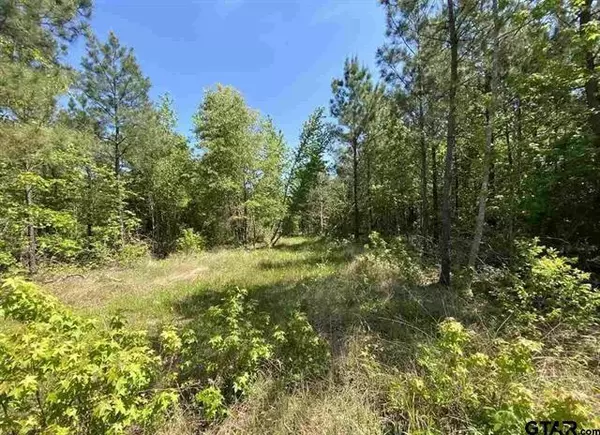 Lone Star, TX 75668,0000 County Road 2317