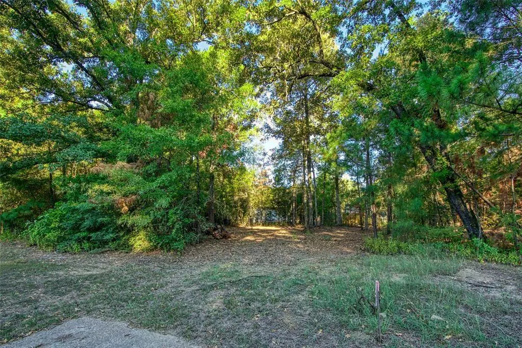 Livingston, TX 77351,TBD Lot 103 Windwood DR