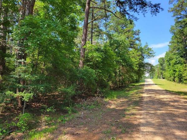 Grapeland, TX 75844,000 Little Bear