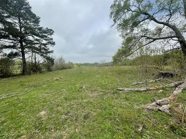 Groveton, TX 75845,TBD HWY 94