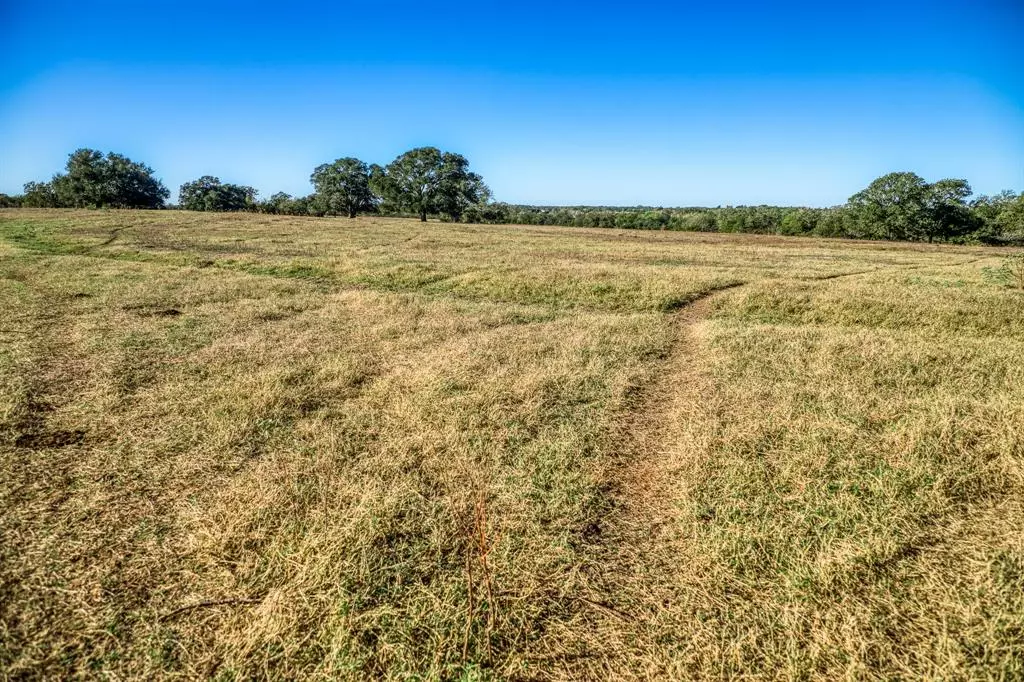 Brenham, TX 77833,04 Sawmill Road Tract 4