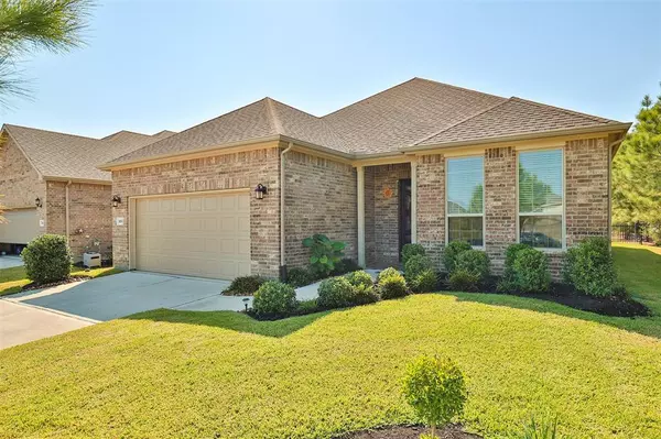 Spring, TX 77382,224 Spotted Saddle CT