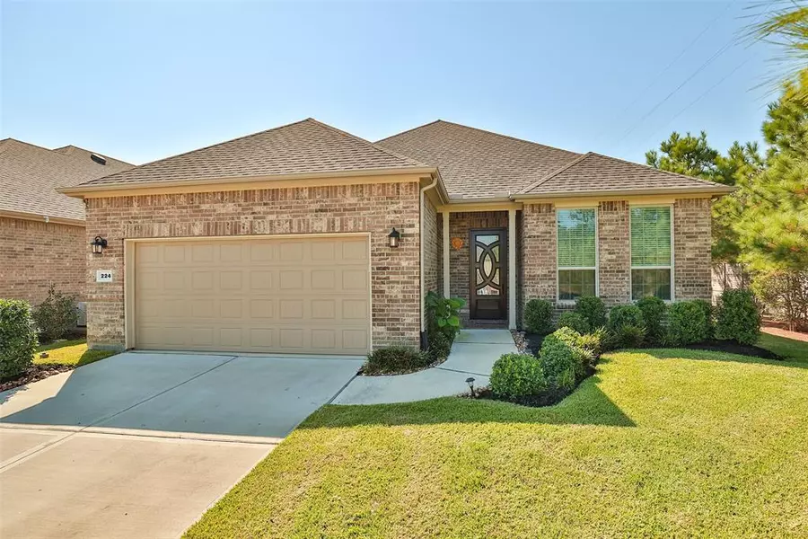 224 Spotted Saddle CT, Spring, TX 77382