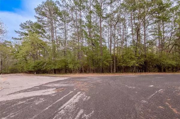 Huntsville, TX 77320,Lot 3 Poland Springs Court