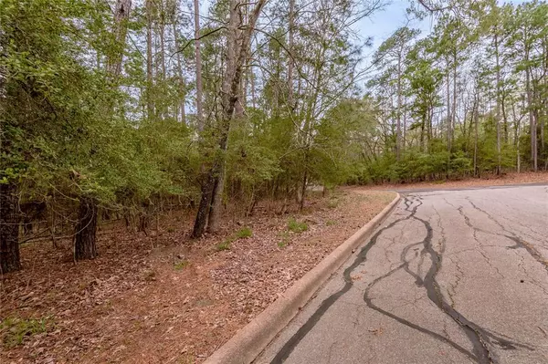 Huntsville, TX 77320,Lot 3 Poland Springs Court