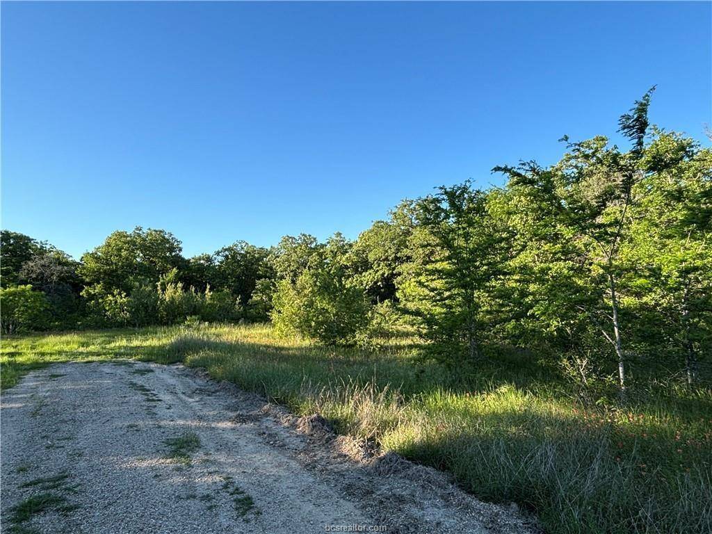 Snook, TX 77878,Lot 183 Burr Oak Ln